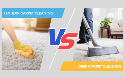 Thinking of Scheduling a Professional Cleaning Services to Make Your Carpets Clean and Fresh?