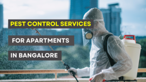 Pest Control Services for Apartments in Bangalore